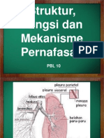 Struktur, Fungsi Dan Mekanisme Pernafasan