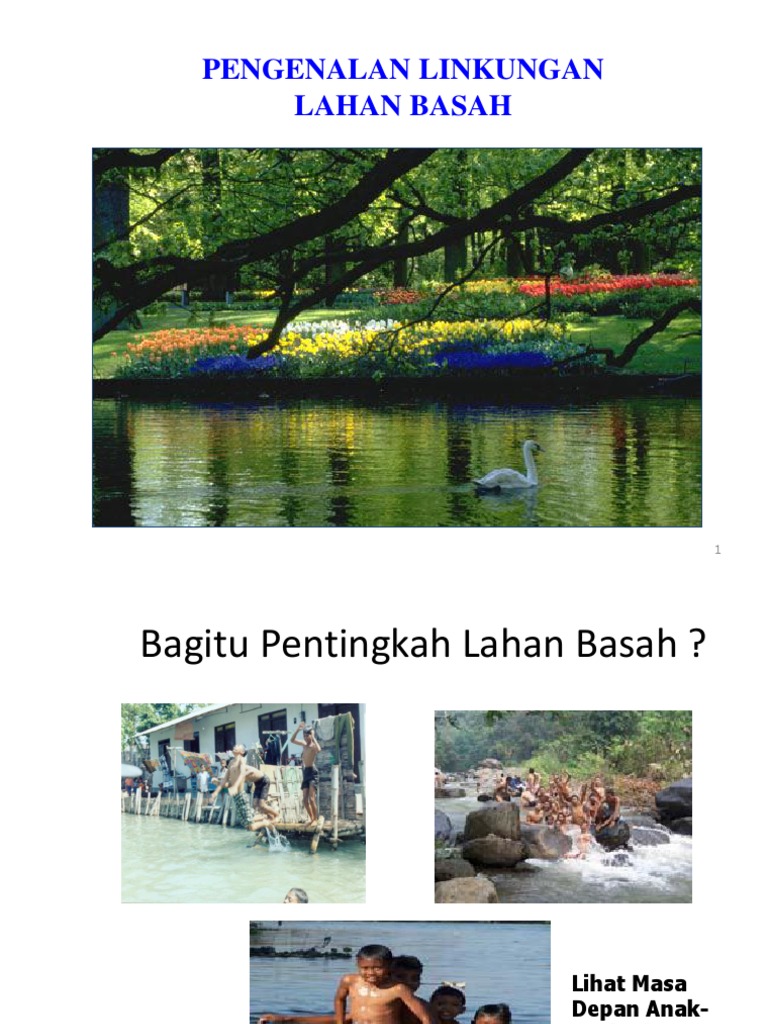 Ekosistem Lahan  Basah  Ekosistem Lahan  Basah