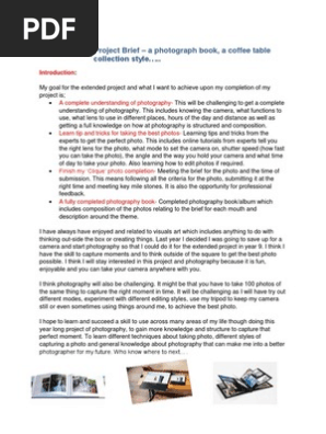 Project Brief