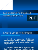 41 Lmi Concepts, Uses and Methodologies