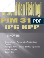 Sinopsis Anatomi Fisiologi IPGKPP