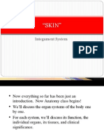 "SKIN": Integument System