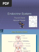 Download Endocrine Diseases by fitimgashi SN21256925 doc pdf