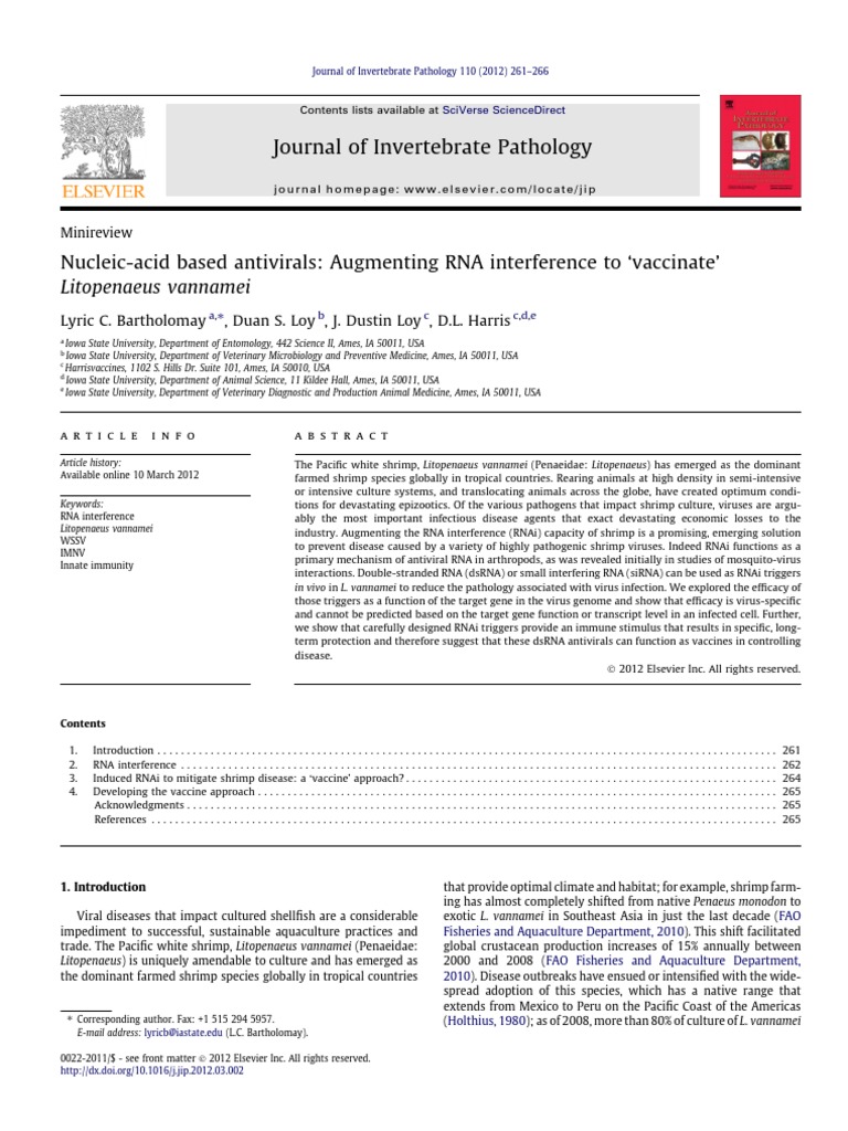 RNAi Antivirals for Shrimp Health | PDF | Rna Interference | Small ...