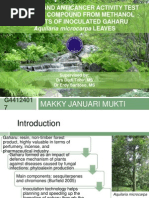 Download Isolasi Senyawa Aktif Antikanker dari Daun Gaharu by Makky J Mukti SN212578624 doc pdf