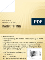 Karyotyping