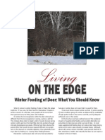 Deer Winter Feeding