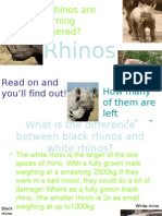 Why Are Rhinos Are Becoming Endangered?