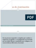 Cicatrizacion Proceso