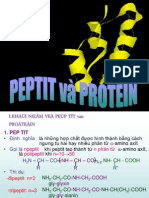 Bai 2 Peptit Va Protein