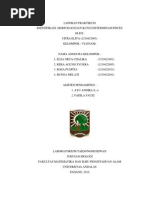 Download LAPORAN PRAKTIKUM Determinasi Pisces by Citra Elita SN212591834 doc pdf