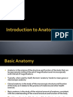 introduction to anatomy