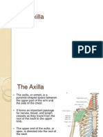 the axilla