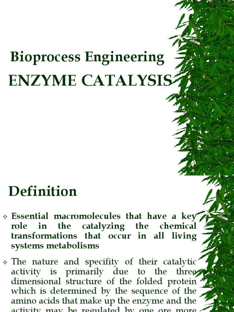 Bioprocess Engineering Enzyme Catalysis