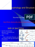 Bacterial Morphology and Structure: Xiao-Kui Guo PHD