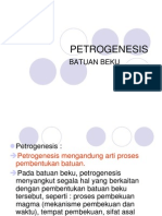Petro Genesis