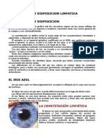 CONSTITUCION Y DISPOSICION LINFATICA.doc