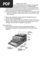 Latihan Peribahasa (Soalan Bergambar) - 2