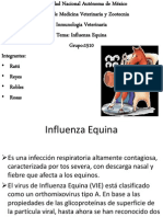 Influenza Equina