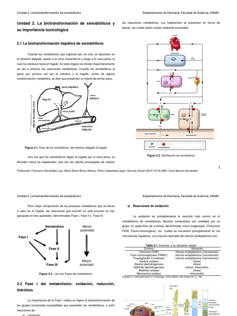 Unidad 2. La biotransformación de xenobióticos