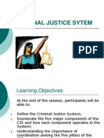 Criminal Justice Sytem