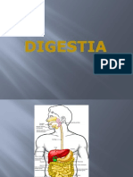 Digestia.ppt