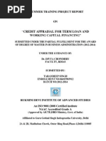 Download credit appraisal for term loan and working capital assessment by Taran Deep Singh SN212677637 doc pdf