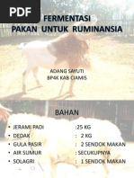 Contoh Surat Panggilan Wawancara