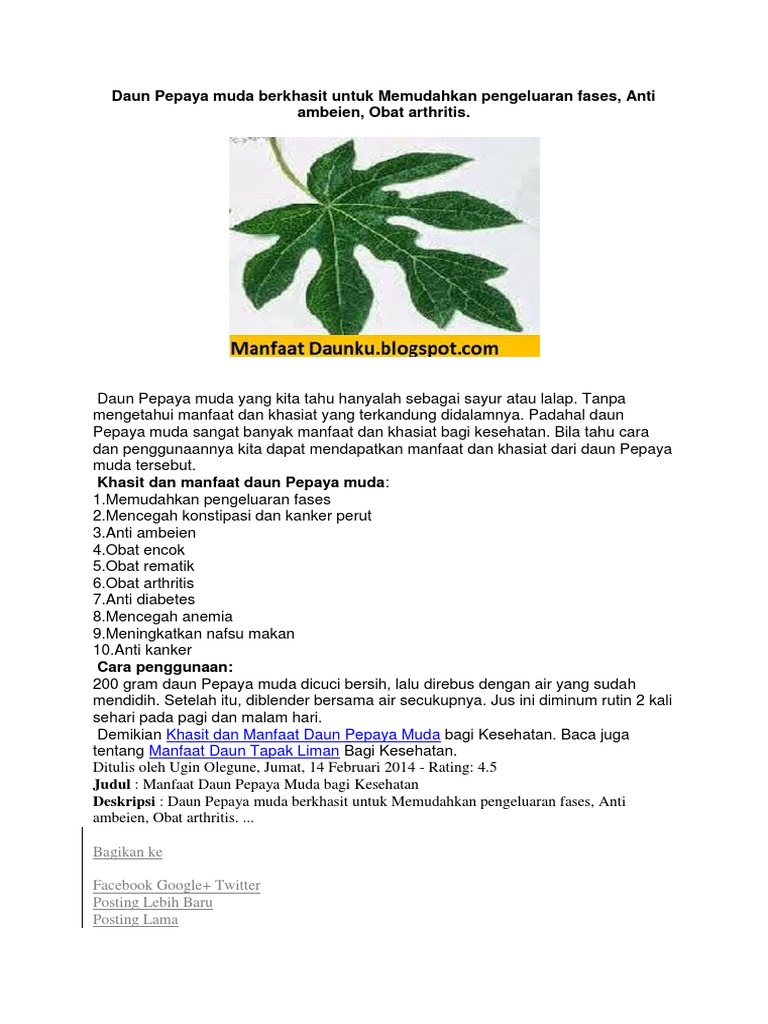 Manfaat Pepaya Pdf