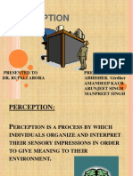 Perception.ppt