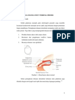 Referat Eka