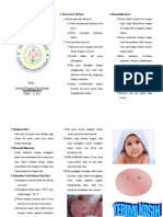 Leaflet BAYI