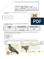 Teste Digestão e Respiração 6º Ano