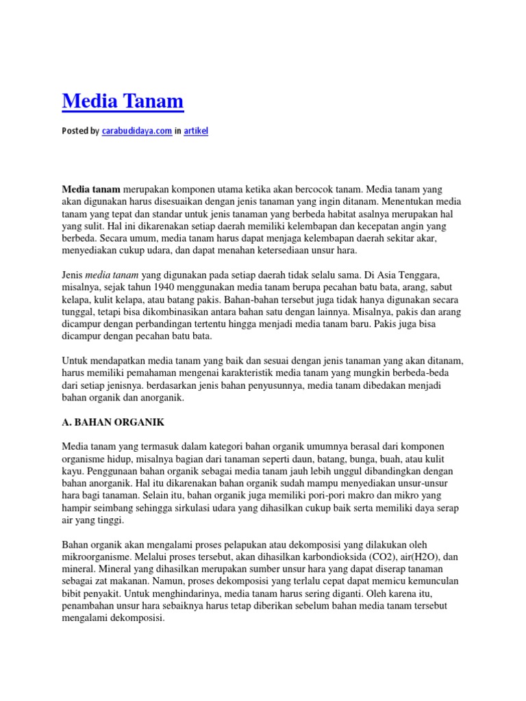 media tanam hidroponik