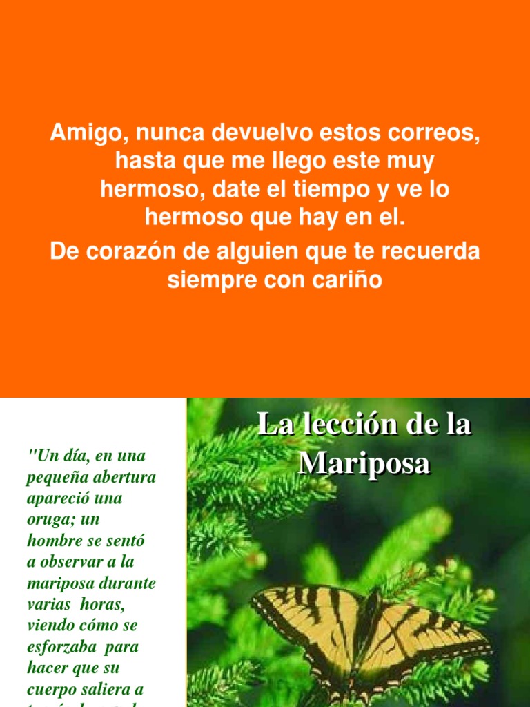 La Mariposa y Dios Pps PDF