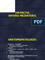 INFARCTUL entero-mezenteric
