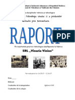 Raport Pe Rezultatele Practicii Tehnologice Desfasurate La Fabrica SRL Vinaria Vinius
