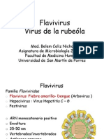 Flavivirus RubeÃ la2013OK