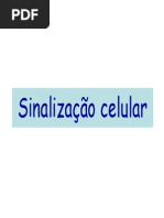 Sinalização celular Aula