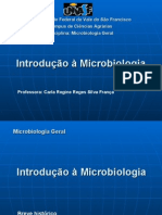 Aula Introducao Microbiologia