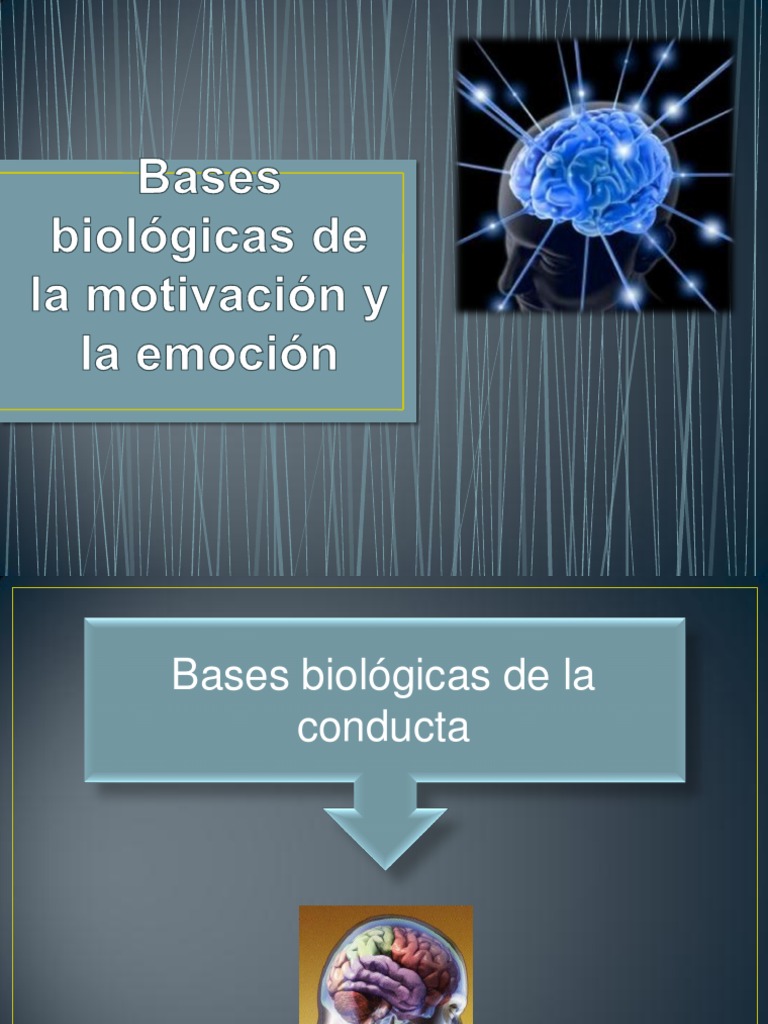 Bases Biológicas de La Mot y Emocion | PDF | Las emociones | Motivación