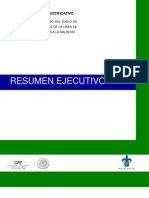 01 Resumen Ejecutivo