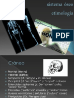 Sistema óseo,emitologia