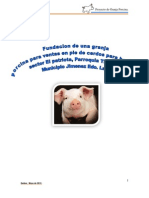 Proyecto Porcino PDF