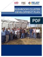 EMLED Akkar Mushroom Cluster Development Plan - Final