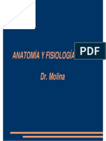 Anatomia y Fisio Ocular 2