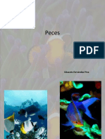 Peces