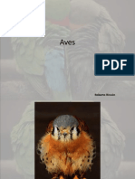 Aves