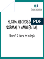 Flora Normal