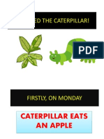 Lets Feed The Caterpillar!